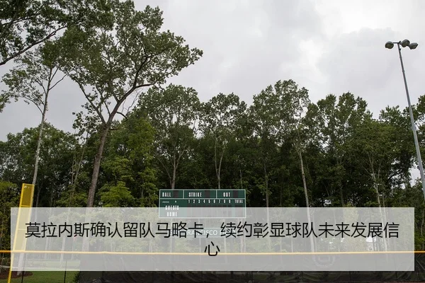 mo-la-nei-si-que-ren-liu-dui-ma-lve-ka-xu-yue-zhang-xian-qiu-dui-wei-lai-fa-zhan-xin-xin-2-336.jpg