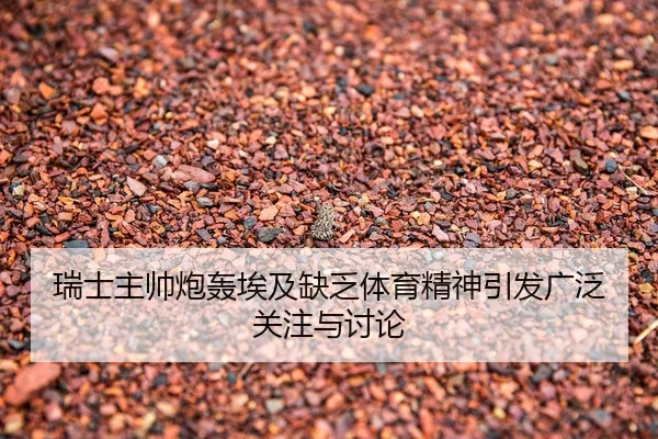 瑞士主帅炮轰埃及缺乏体育精神引发广泛关注与讨论